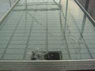 Tavi standard pentru sera