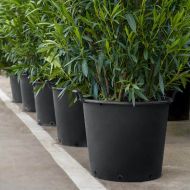 Oală rotundă mare cu mânere MASTELLIi 43l.