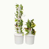 Grădină verticală hidroponică — un kit complet pentru grădinărit hidroponic vertical