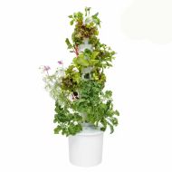 Grădină verticală hidroponică — un kit complet pentru grădinărit hidroponic vertical