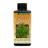 Palm Focus - îngrășământ pentru plante de palmier