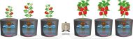 Hailea ACO-9601 Pompa aer 3,2 l/min 192 l/h