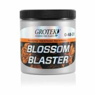 Grotek Blosom Blaster - aditiv pentru înflorire abundentă