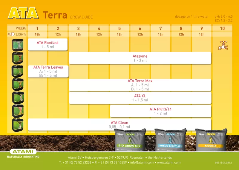 ATA Clean 1 l