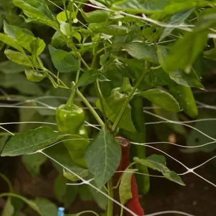 Plasă de susținere pentru plante și legume 1.20 m x 30 m (rolă)
