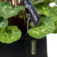 Ghiveci textil Gronest Classic Pot 75 l (fără mânere)