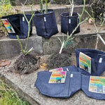 Ghiveci textil pentru transplantare Gronest Transplanter 11 l