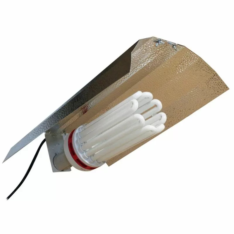 FLORAMAX CFL LAMP 150W 6400K