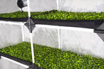 Garden Highpro PROBOX PROPAGATOR XL