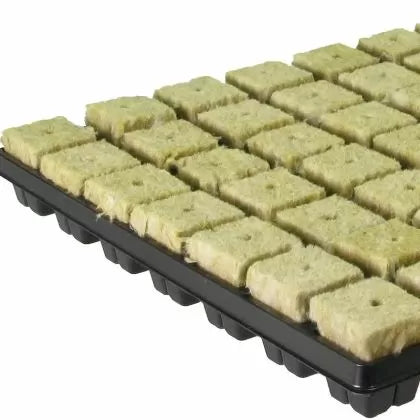 Grodan tray 77 cubes