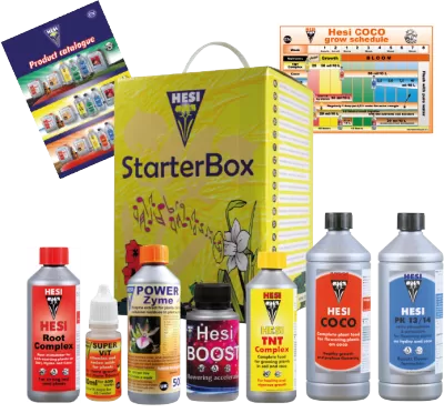 HESI STARTER BOX COCO