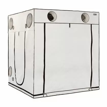 HOMEbox Ambient Q200+ - cort de cultivare a plantelor (200 x 200 x 220 cm)