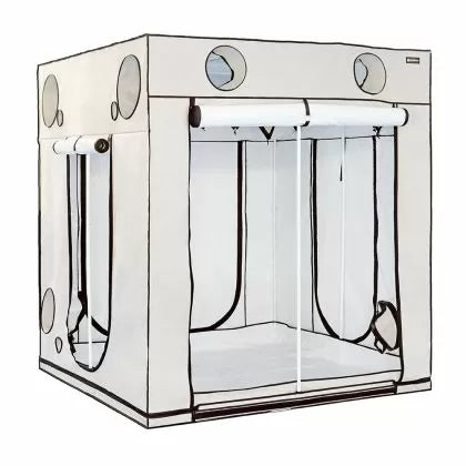 HOMEbox Ambient Q200+ - cort de cultivare a plantelor (200 x 200 x 220 cm)