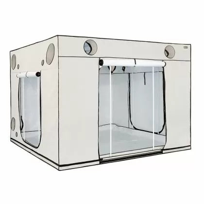 HOMEbox Ambient Q300+ – cort pentru cultivarea plantelor, 300 × 300 × 220 cm