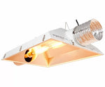 Raptor 8 Dual pentru două becuri