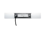 Jungle LED The Fire Ant