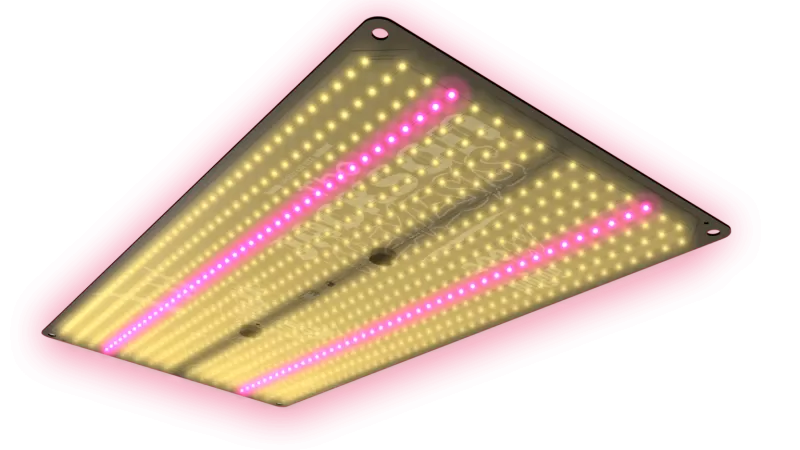 Jungle LED The Jackson 250W