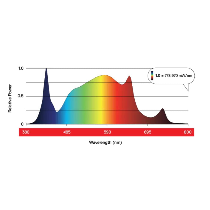 Maxibright DAYLIGHT 300W LED