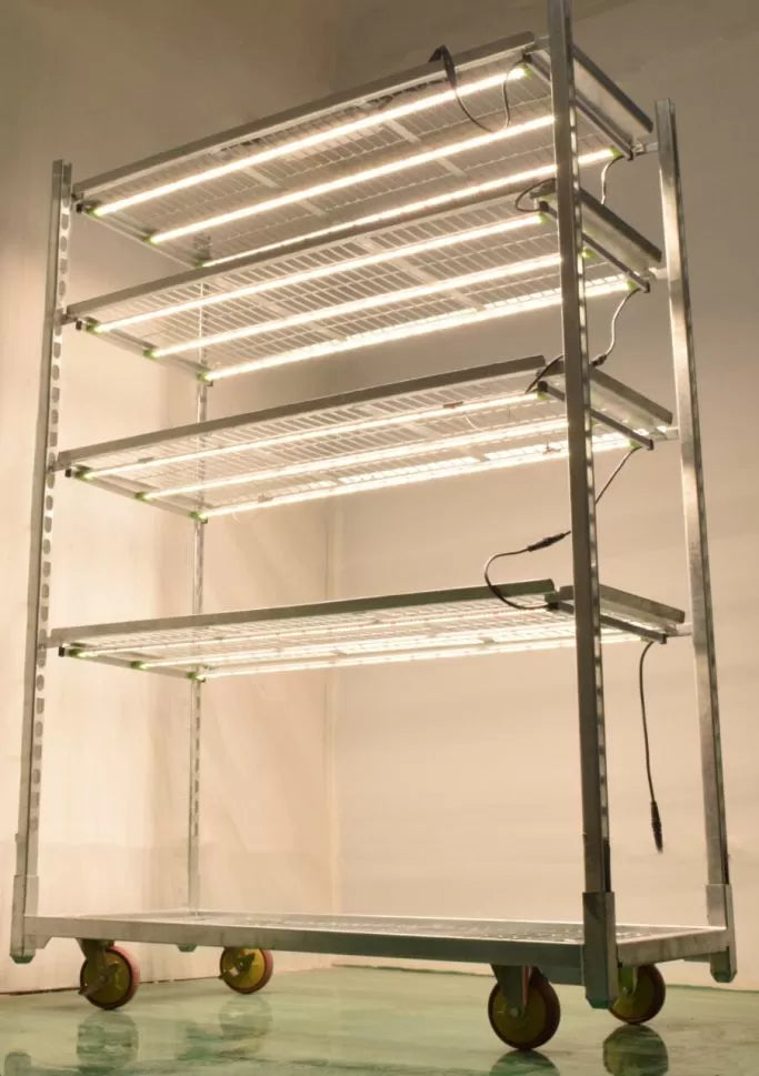 Newlite LED IndoorLed C 225P 100W Luminaire