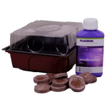PLAGRON SeedBox