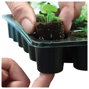 ROOTIT seedling trays with 60 cells