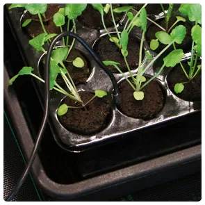 ROOT!T termostat digital pentru covorașe încălzitoare pentru germinarea semințelor