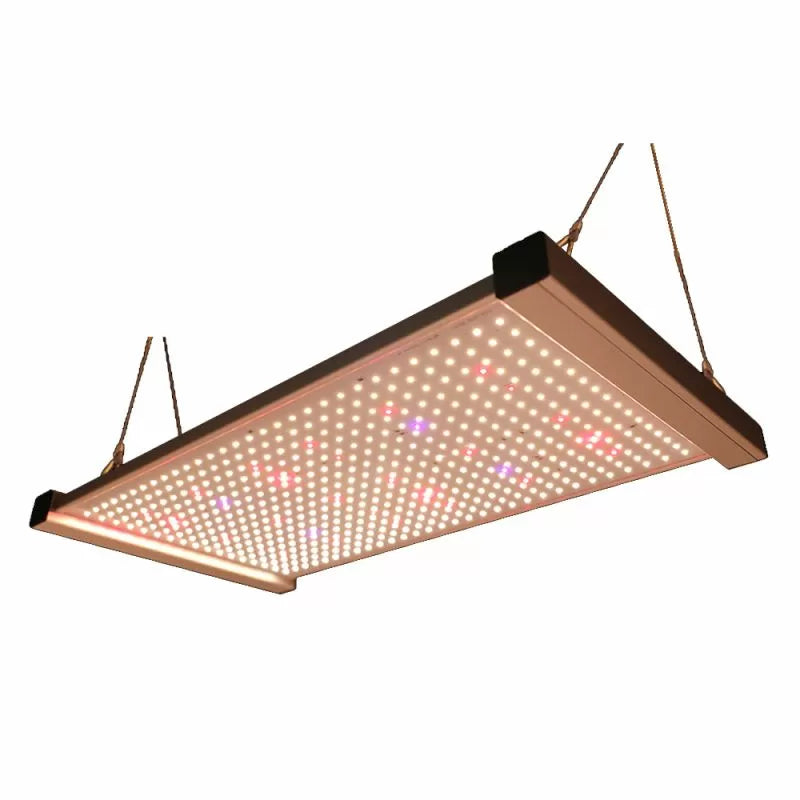 Red Farm Quantum G1 240W LED (LM301H)