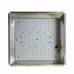 Red Farm Quantum G3 100W LED (LM301B)