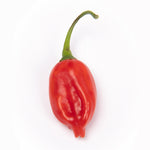 Tepin x Lemon Drop Hybrid Hot Pepper Seeds - 10 pcs
