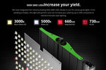 Viparspectra P2000 200W