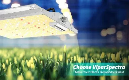 Viparspectra XS1000 100W - lampă LED pentru creștere și înflorire
