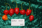 Apple Crisp - 15 pcs seeds