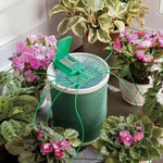 Sistem automatizat de irigare Wassertech (10 plante)