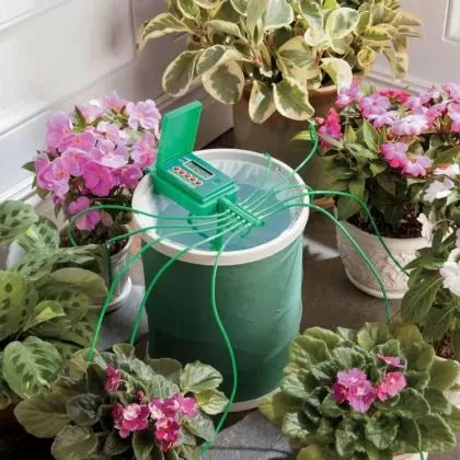 Sistem automatizat de irigare Wassertech (10 plante)