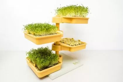 Babylon Garden - sistem hidroponic de casă pentru germeni și microplante, 4 culturi, aplicație smart + CADOU