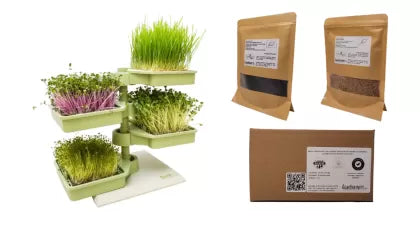 Babylon Garden - sistem hidroponic de casă pentru germeni și microplante, 4 culturi, aplicație smart + CADOU