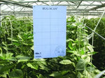 Biobest BUG-SCAN® capcană adezivă albastră împotriva tripsilor - 10 buc. (10x25 cm)