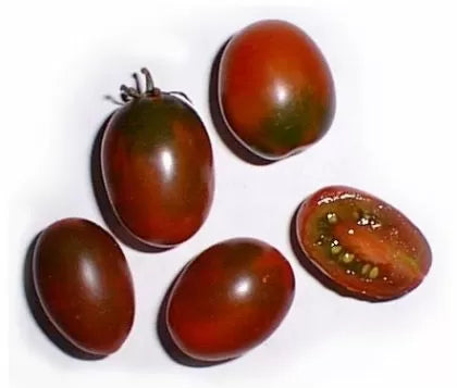 Black Plum - roșie - 15 semințe