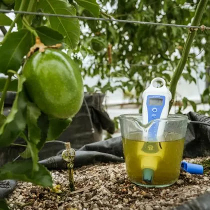 Bluelab pH PenPlus – Професионален pH метър със сменяема сонда