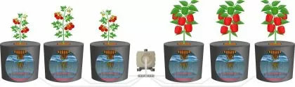BOYU SES-10 - pompă de aer cu zgomot redus 10 l/min 600 l/h