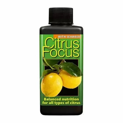 Citrus Focus - fertilizant pentru citrice