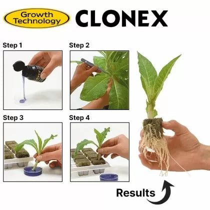 CLONEX Rooting Gel 50ml - rooting gel for clones (cuttings)
