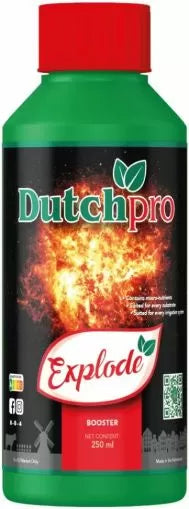 Dutchpro Explode - booster de înflorire (pentru randamente maxime)