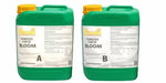 Ferro OSMOSIS COCO BLOOM A&B - fertilizant pentru înflorire (pentru cocos, pentru apă osmozată)