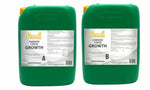 Ferro OSMOSIS COCO GROWTH A&B – îngrășământ pentru creștere (pentru cocos și apă de osmoză)