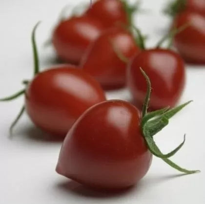 Gardenberry F1 (Gardenberry F1) - tomate cherry - 15 buc. semințe