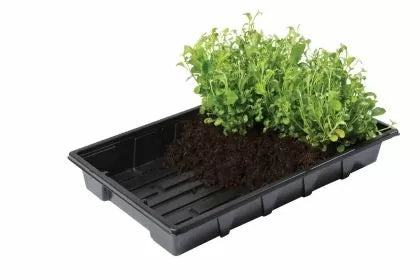 Garland Professional Gravel Tray – tavă pentru înrădăcinare și răsaduri, 37 x 23,5 x 6 cm (fără găuri)