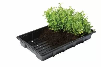 Garland Professional Seed tray - tavă pentru germinarea semințelor și răsaduri, 37 x 23.5 x 6 cm (cu găuri)