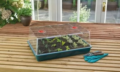 Garland XL mini-seră cu capac înalt fără tavă de drenaj