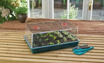 Garland XL mini-seră cu capac înalt fără tavă de drenaj